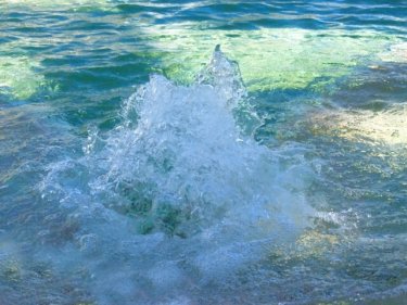 【サウナ/岩盤浴×水風呂】おすすめ×効果的な入り方【医学的根拠】