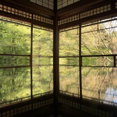 春の特別拝観【瑠璃光院 京都】インスタ映え×写真×撮り方×裏側？【唯一の】注意事項×周辺ランチ