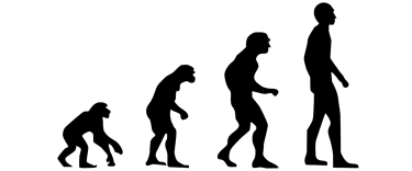 【原因/科学的根拠/メカニズム】薄毛/脱毛/ハゲ＝脂肪の多い食べ物×加齢【ネイチャー】白髪化へ影響を及ぼす遺伝子『IRF4』